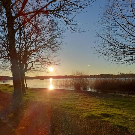 Appartement Les Terrasses Du Lac Aureilhan  Eksteriør bilde